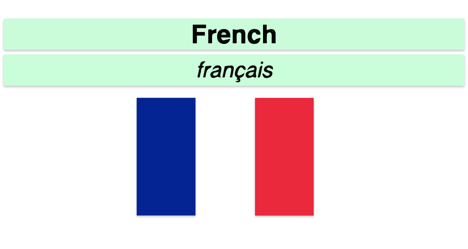 Français language pack